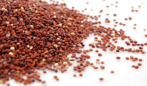 Hạt quinoa đỏ